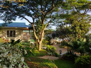 una casa con un albero nel cortile di Shaka's Seat Guesthouse - Check Out Our May Special! a Ballito