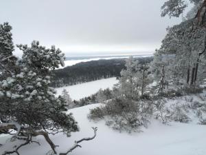 a view of the snow covered trees and a lake at Edsleskogs Wärdshus in Åmål