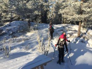 two people cross country skiing in the snow at Edsleskogs Wärdshus in Åmål