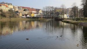 Příroda nedaleko penzionu