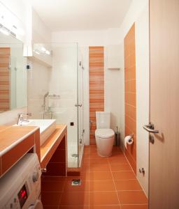 a bathroom with a toilet and a sink and a shower at Muses Studios Sami in Sami