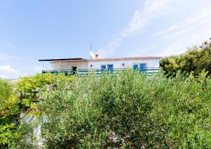 Zahrada ubytování Apartments Ines