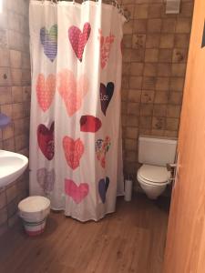 a bathroom with a shower curtain with hearts on it at Lärchenwald Lodge in Bellwald