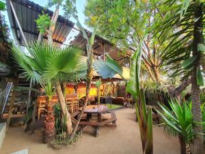 Um jardim em Lebo's Soweto Backpackers