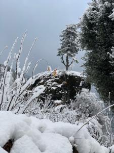 صورة لـ AbodeHome Cottage في مانالي