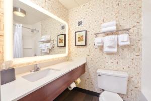 Holiday Inn Auburn-Finger Lakes Region, an IHG Hotel في اوبورن: حمام مع حوض ومرحاض ومرآة