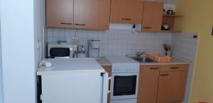 Kuchyň nebo kuchyňský kout v ubytování Studio Apartment Milica