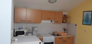 Kuchyň nebo kuchyňský kout v ubytování Studio Apartment Milica