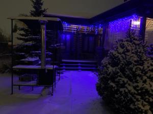 プーシキンにあるDomik na Berezovoy 6の紫色の灯りとクリスマスの木がある家