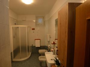 un bagno con doccia, WC e lavandino di Appartamento Gavazza a Molveno