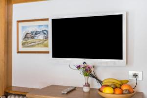 a television on a wall with a bowl of fruit at Kleine Gartenwohnung Haus Forelle in Selva di Val Gardena