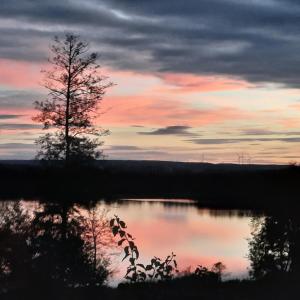 Paesaggio naturale nelle vicinanze della casa vacanze