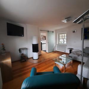 TV o dispositivi per l'intrattenimento presso Hanghaus der Villa Oderblick