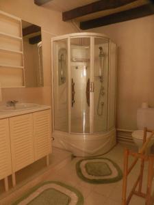 a bathroom with a shower and a sink at A L'Olivier in Montcaret