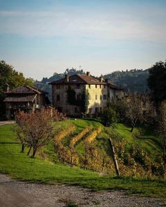 stary dom na wzgórzu z polem winorośli w obiekcie Agriturismo La Costa - Casa Vacanze w mieście Perego