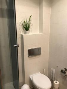 a bathroom with a toilet and a plant on a shelf at Hotel Schöne Aussicht in Weißenfels