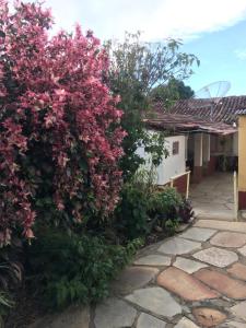un arbusto con flores rosas al lado de una casa en Casa da Dona Ilda, en Pirenópolis