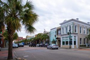 a city street with a palm tree and cars on the road at 243 Rutledge in Charleston