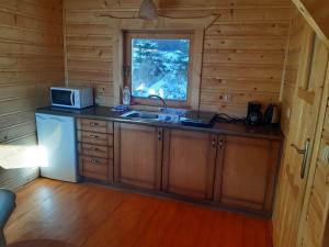 KamesznicaにあるVilla Różaのキッチン(電子レンジ、シンク付)