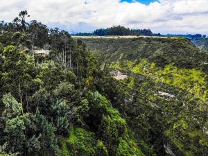 eine Luftansicht eines bewaldeten Hügels mit Bäumen in der Unterkunft Hacienda Jimenita Wildlife Reserve in Puembo