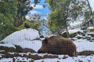 Billede fra billedgalleriet på Quinta de Santo Estêvão Hotel Rural i Aguiar da Beira
