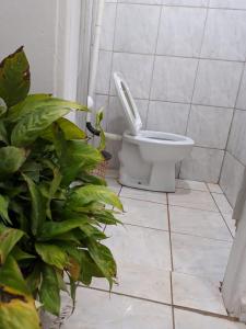a bathroom with a toilet and some plants at Casa de Temporada em Bonito-MS in Bonito