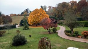 um jardim com árvores coloridas e um caminho em Le Relais De Dalibray em Seraincourt