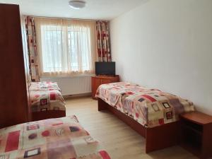 - une chambre avec 2 lits et une télévision dans l'établissement Penzion u Buba, à Ostrov nad Oslavou