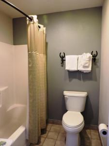 a bathroom with a toilet and a shower with towels at Riata Inn - Presidio in Presidio