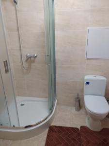 ein Bad mit einer Dusche und einem WC in der Unterkunft Апартаменты по Панаса Мирного. in Chmelnyzkyj