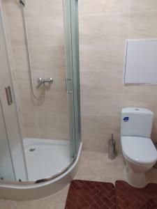 a bathroom with a shower and a toilet at Апартаменты по Панаса Мирного. in Khmelʼnytsʼkyy