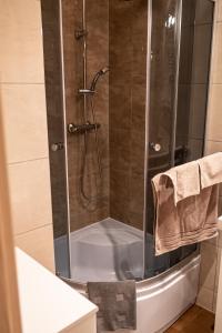 a bathroom with a shower with a glass door at Studio Złotnicza in Jelenia Góra