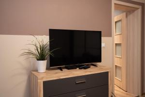 uma televisão de ecrã plano num suporte de madeira com um vaso de plantas em Studio Złotnicza em Jelenia Góra