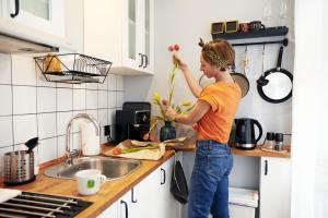 Una cocina o zona de cocina en Courthouse Apartments Slavi