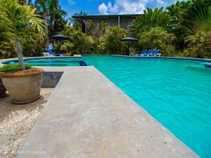 a swimming pool with blue chairs and a house at Almond Tree Hotel Resort in Corozal