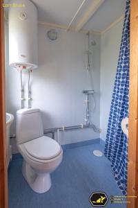 a bathroom with a toilet and a shower curtain at Yttermalungs Camping in Bjuråker