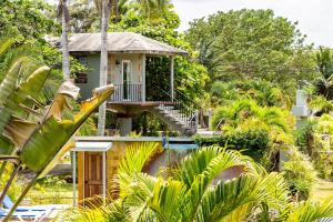 un complejo con piscina y casa en Almond Tree Hotel Resort en Corozal