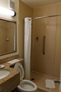 a bathroom with a shower and a toilet and a sink at Beachside Hotel and Suites in Cocoa Beach