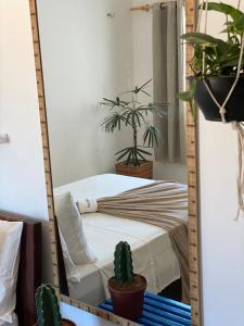 a mirror in a room with a bed and potted plants at Casa Free Wind Jeri in Jericoacoara