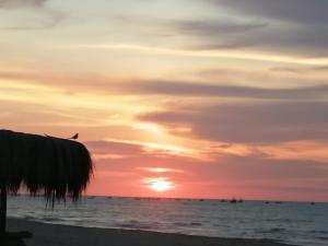 una puesta de sol en la playa con un pájaro sentado en un muelle en La Posada De Los Tumpis, en Bocapán