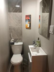 a bathroom with a white toilet and a sink at Gîte de la Montagne Enchantée in Metabetchouan
