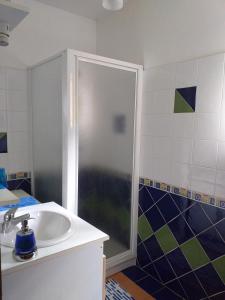 a bathroom with a shower and a sink at Chez Mamie Riclaude in Orsan