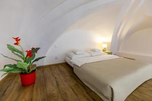 a bedroom with a bed and a potted plant at Palác Daun - Studio Apartments in Znojmo