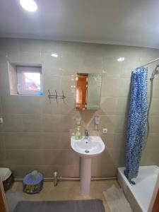 a bathroom with a sink and a shower at Міні Котедж in Verkhovyna
