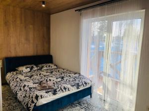 1 dormitorio con cama y ventana grande en DanRock en Yablunytsya