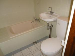 Sapunaya-さぷな家 في جزيرة تاكيتومي: حمام مع مرحاض ومغسلة وحوض استحمام