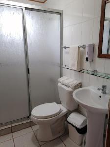 a bathroom with a toilet and a shower and a sink at Cabañas Cadizmar in Pichidangui