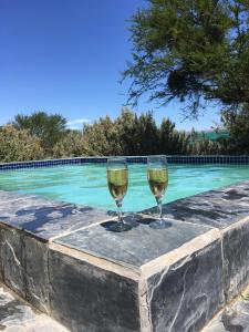two glasses of wine sitting on a table next to a swimming pool at Finchley Farm Cottages in Willowmore
