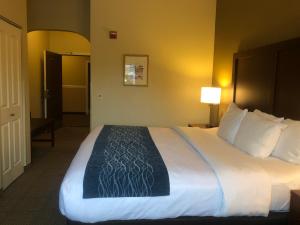 
A bed or beds in a room at Comfort Inn & Suites Ukiah Mendocino County
