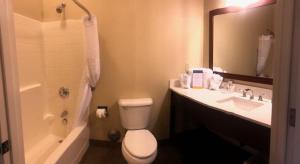 
A bathroom at Comfort Inn & Suites Ukiah Mendocino County
